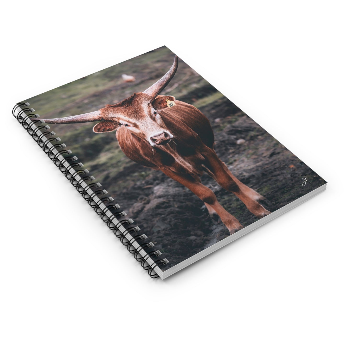 Longhorn Cow | Spiral Notebook
