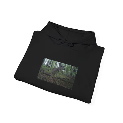 Trail Cam Deer 2 (Color) | Hoodie