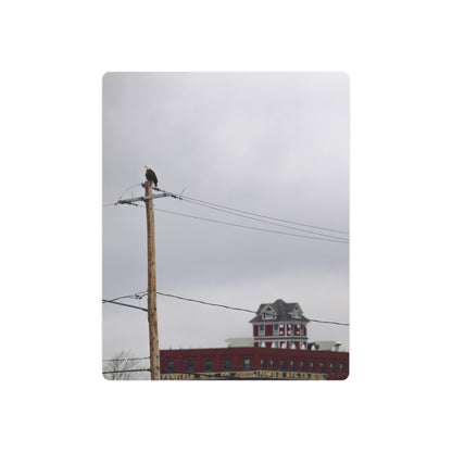 Bald Eagle & Syracuse Factory | Metal Wall Art Sign
