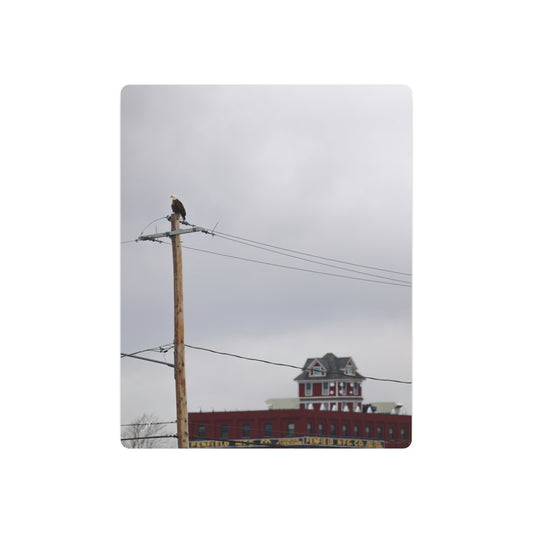 Bald Eagle & Syracuse Factory | Metal Wall Art Sign