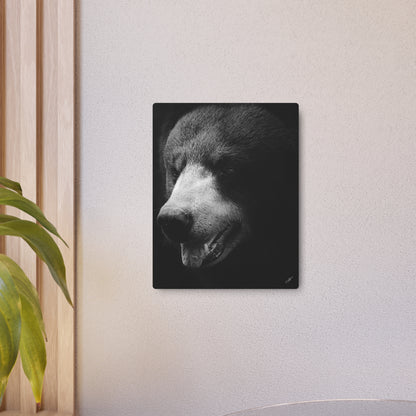 Black Bear | Metal Art Sign