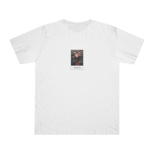 Longhorn Cow 10.21.24 | T-Shirt