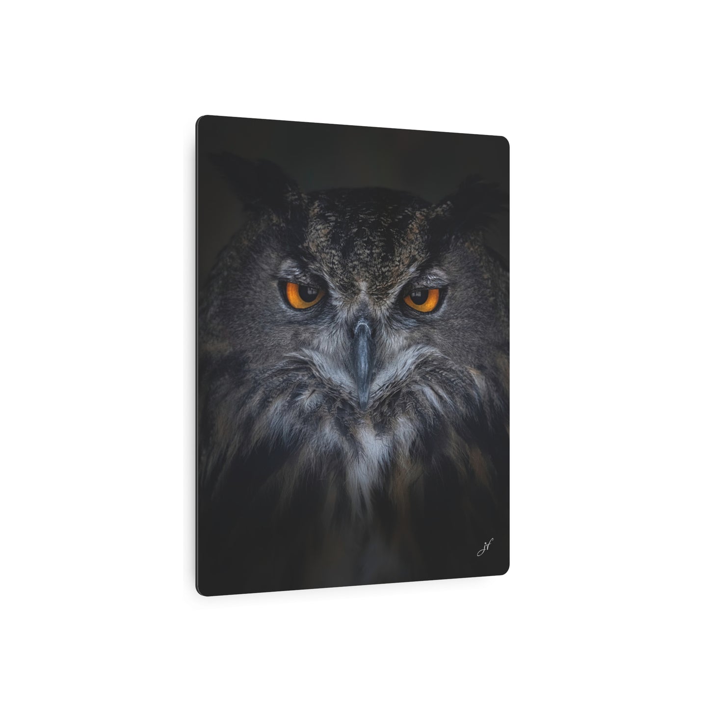 Owl | Metal Art Sign