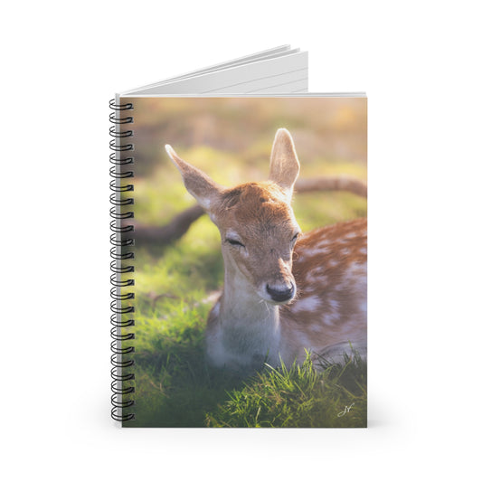 Fawn | Spiral Notebook