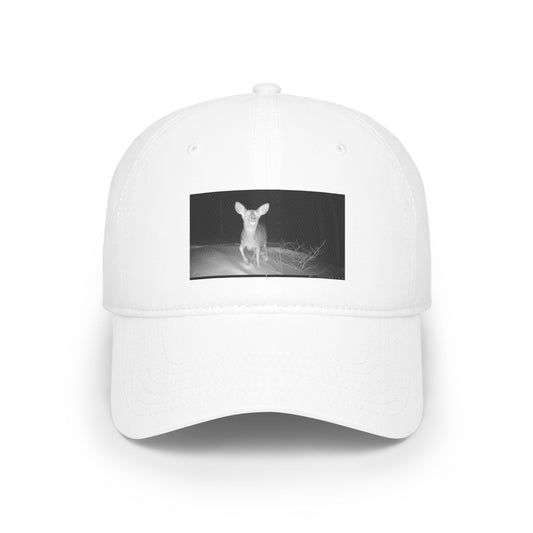 Trail Cam Deer | Hat