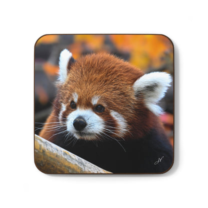 Assorted Wildlife Coaster Bundle
