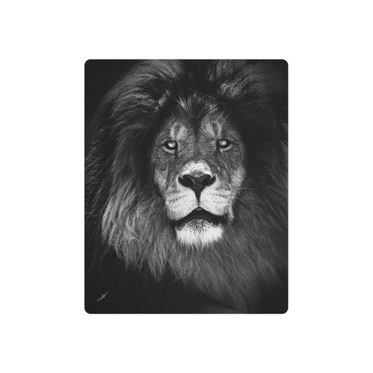 Lion | Metal Art Sign