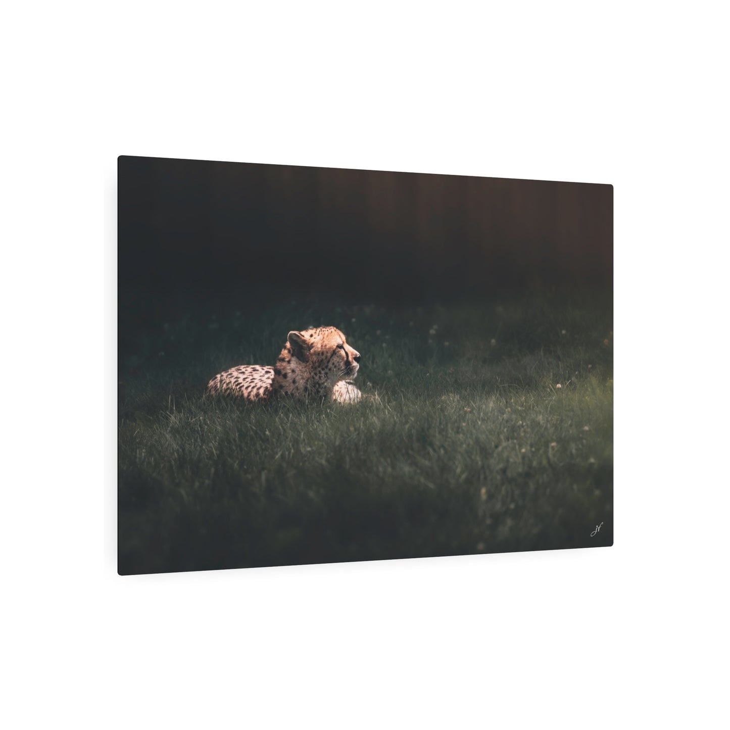 Cheetah | Metal Art Sign