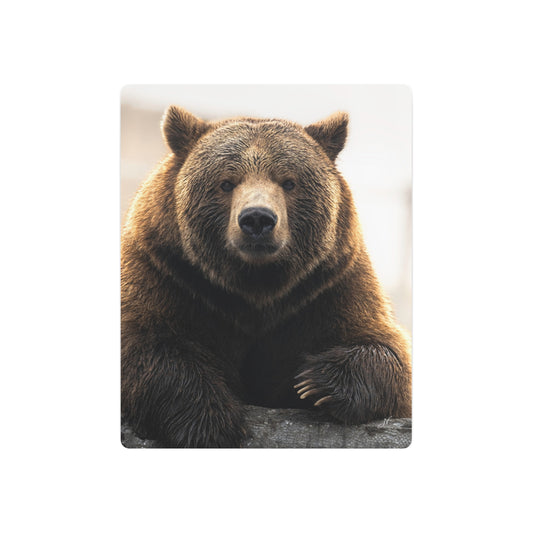 Bear Posing | Metal Art Sign