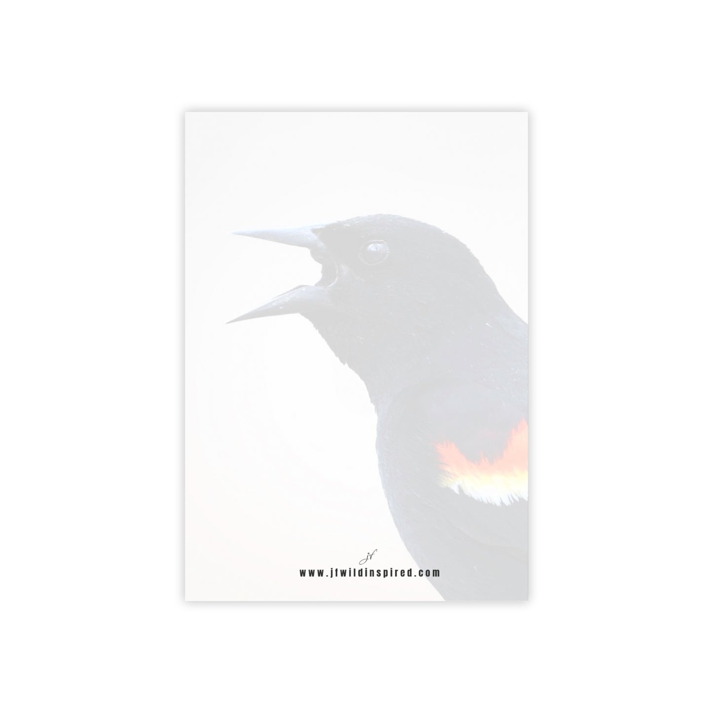 Red-Winged Blackbird | Post-It Note Stack