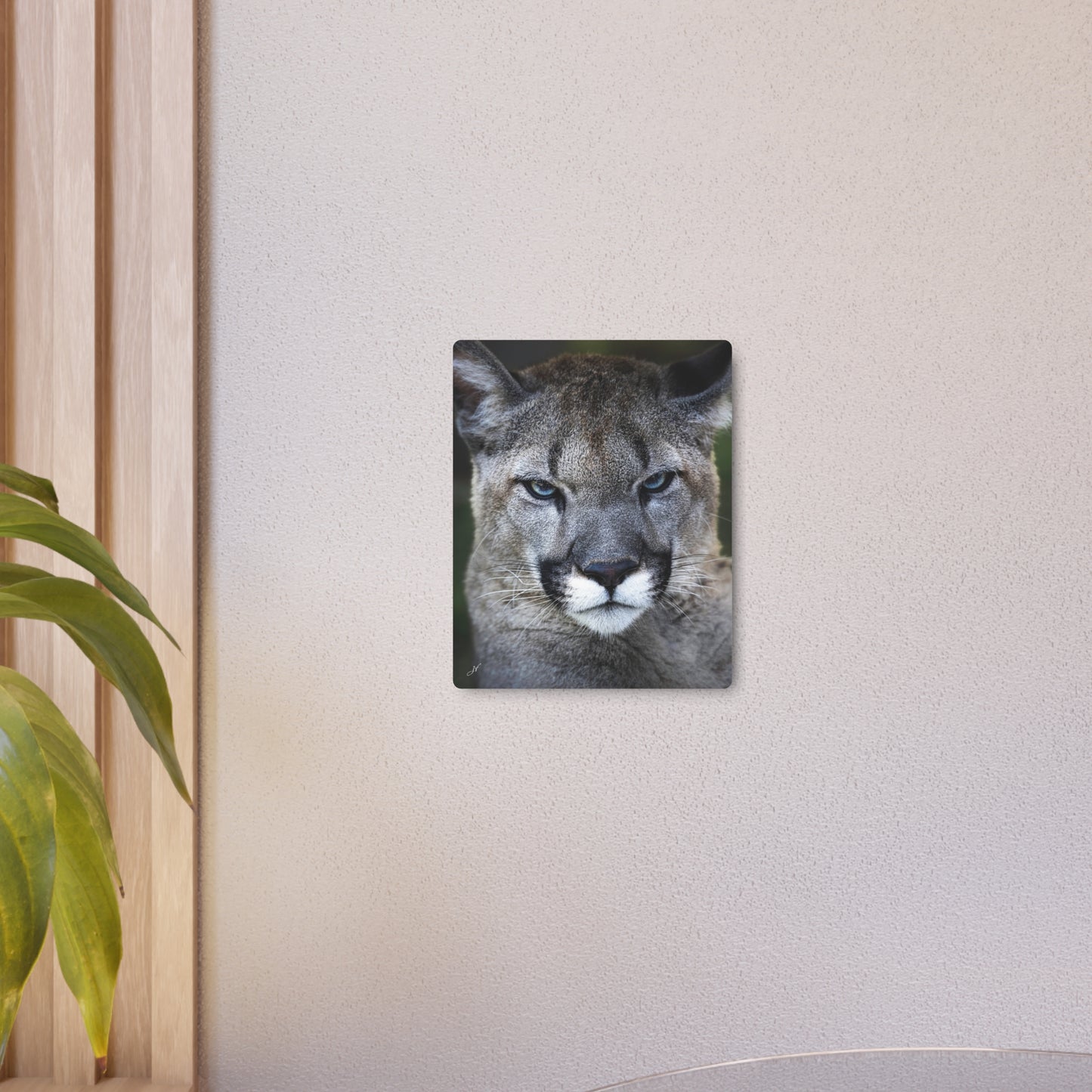 Puma Cat | Metal Art Sign
