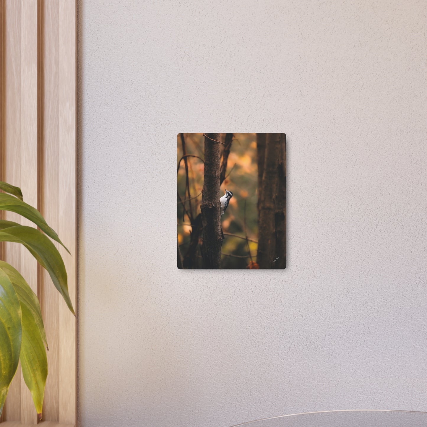 Downy Woodpecker | Metal Art Sign