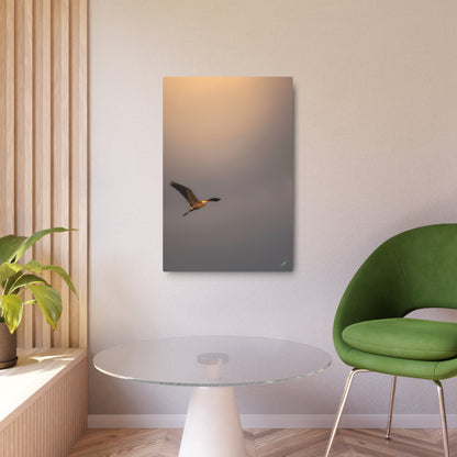 Blue Heron Golden Hour Flight | Metal Wall Art Sign