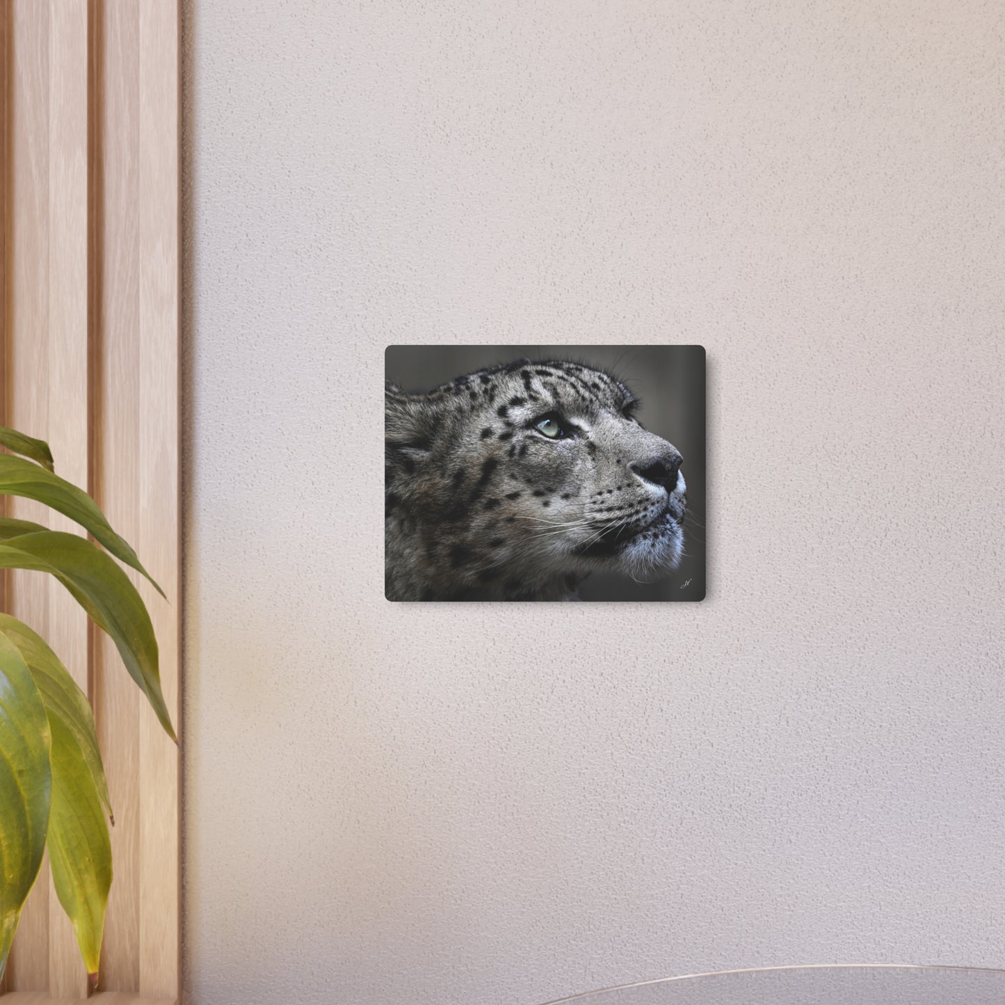 Snow Leopard | Metal Art Sign