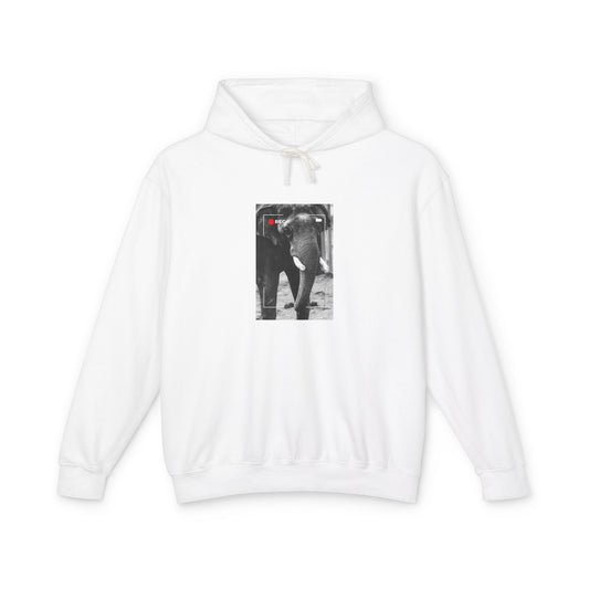 Elephant In Focus | Hoodie