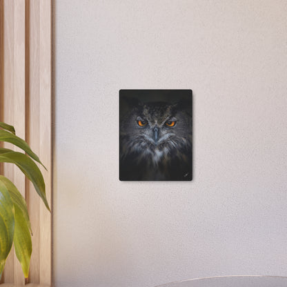 Owl | Metal Art Sign