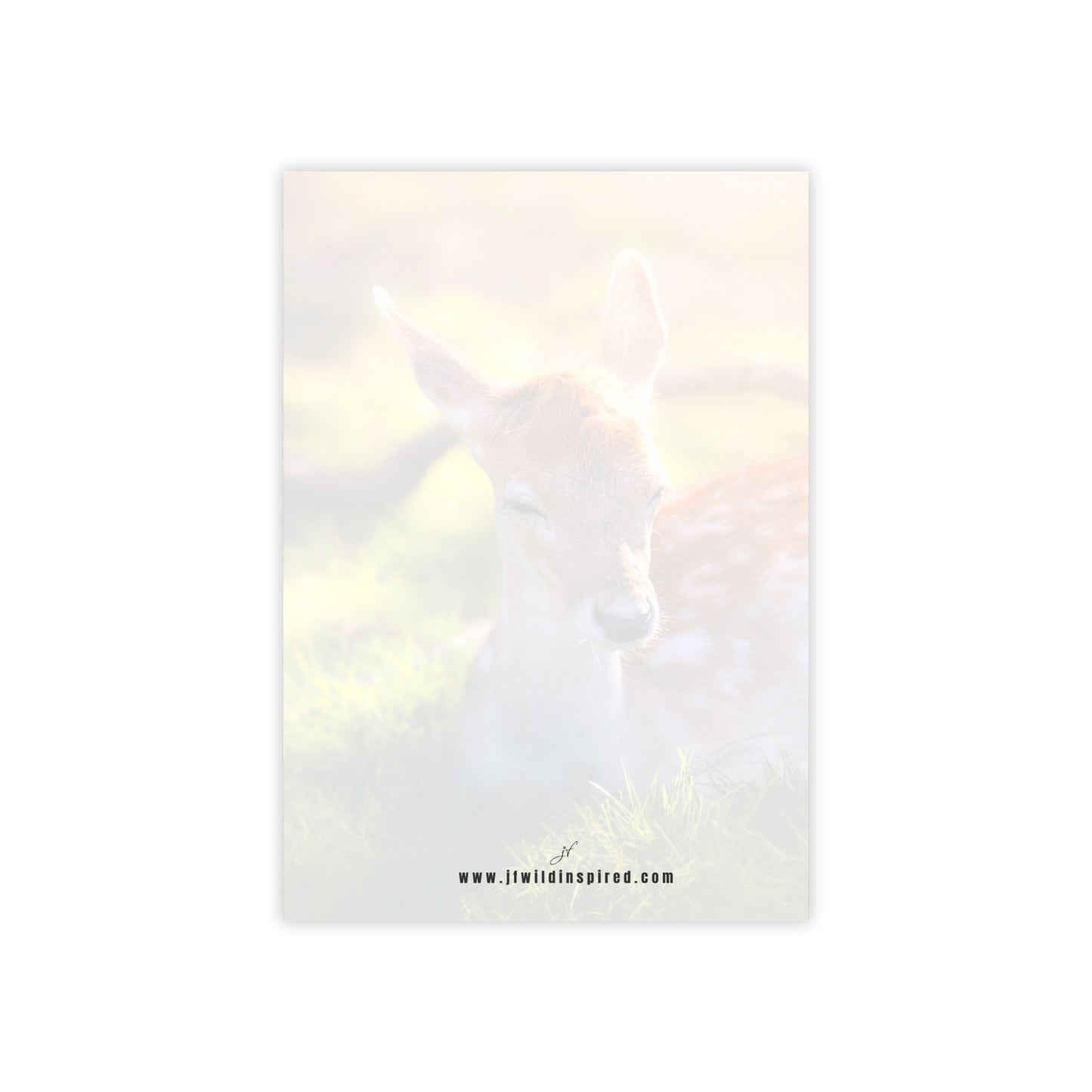 Fawn | Post-It Note Stack