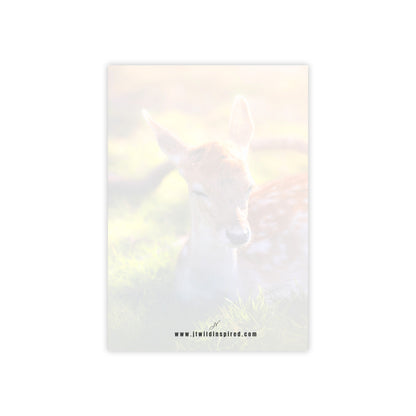 Fawn | Post-It Note Stack