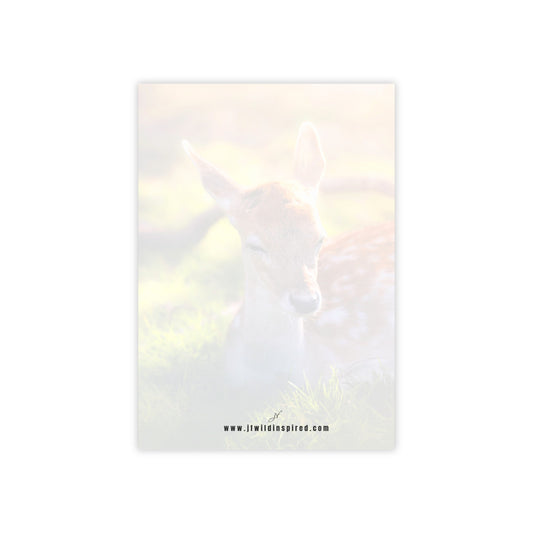 Fawn | Post-It Note Stack