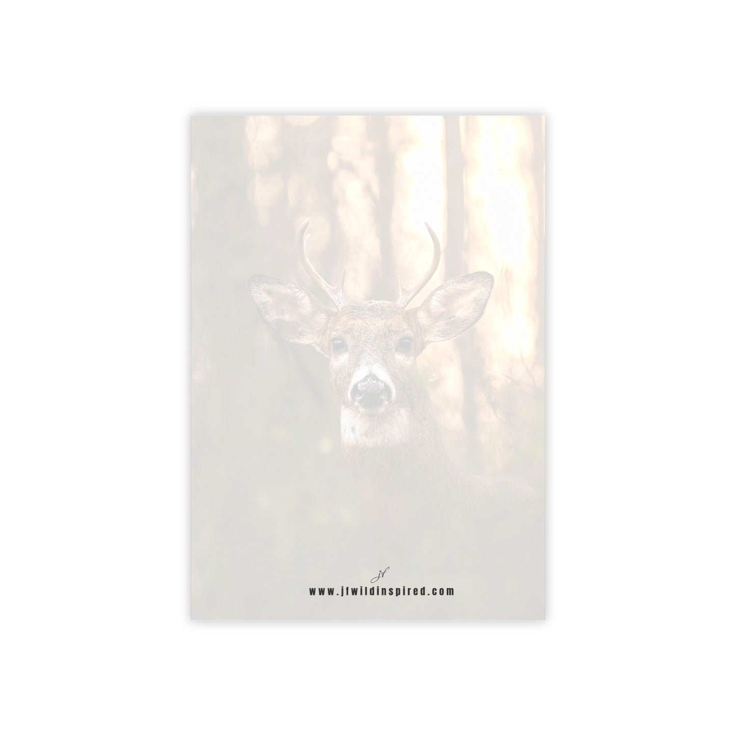 Buck | Post-It Note Stack