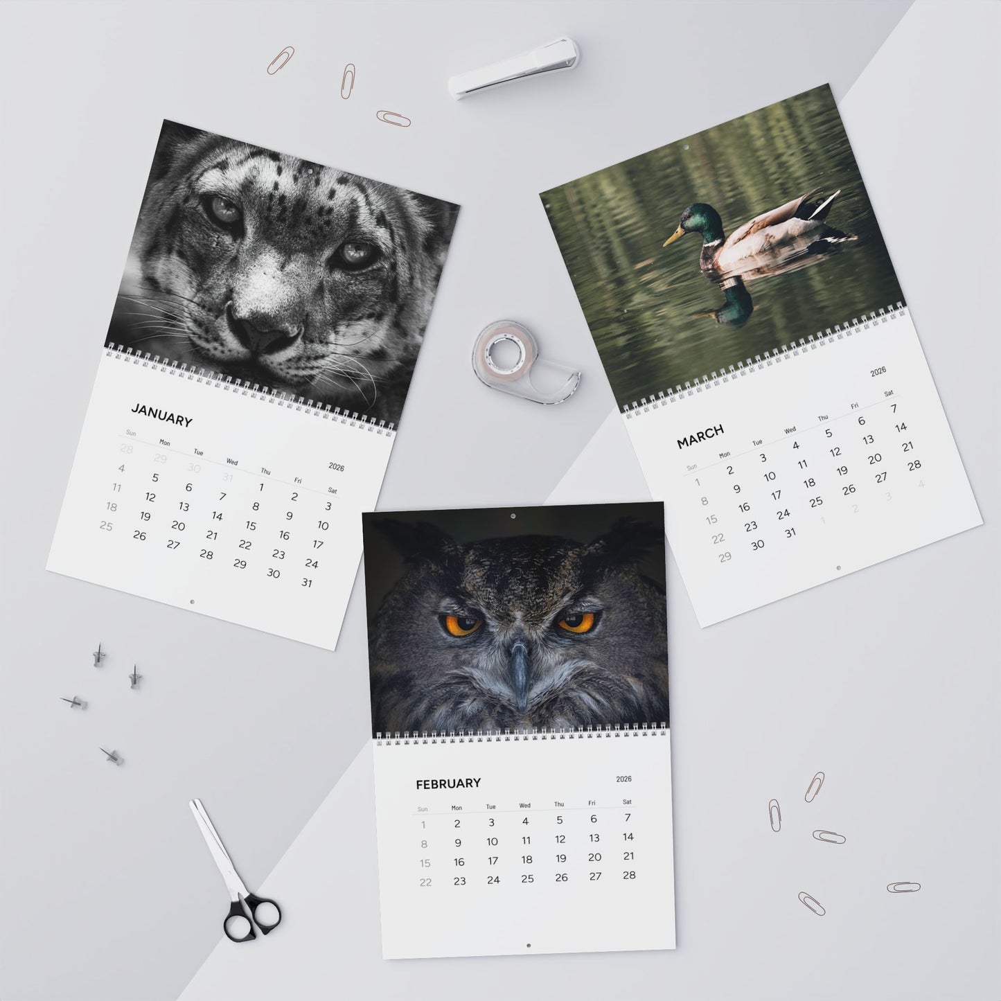 2026 Wildlife Calendar