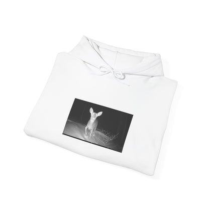 Trail Cam Doe | Hoodie