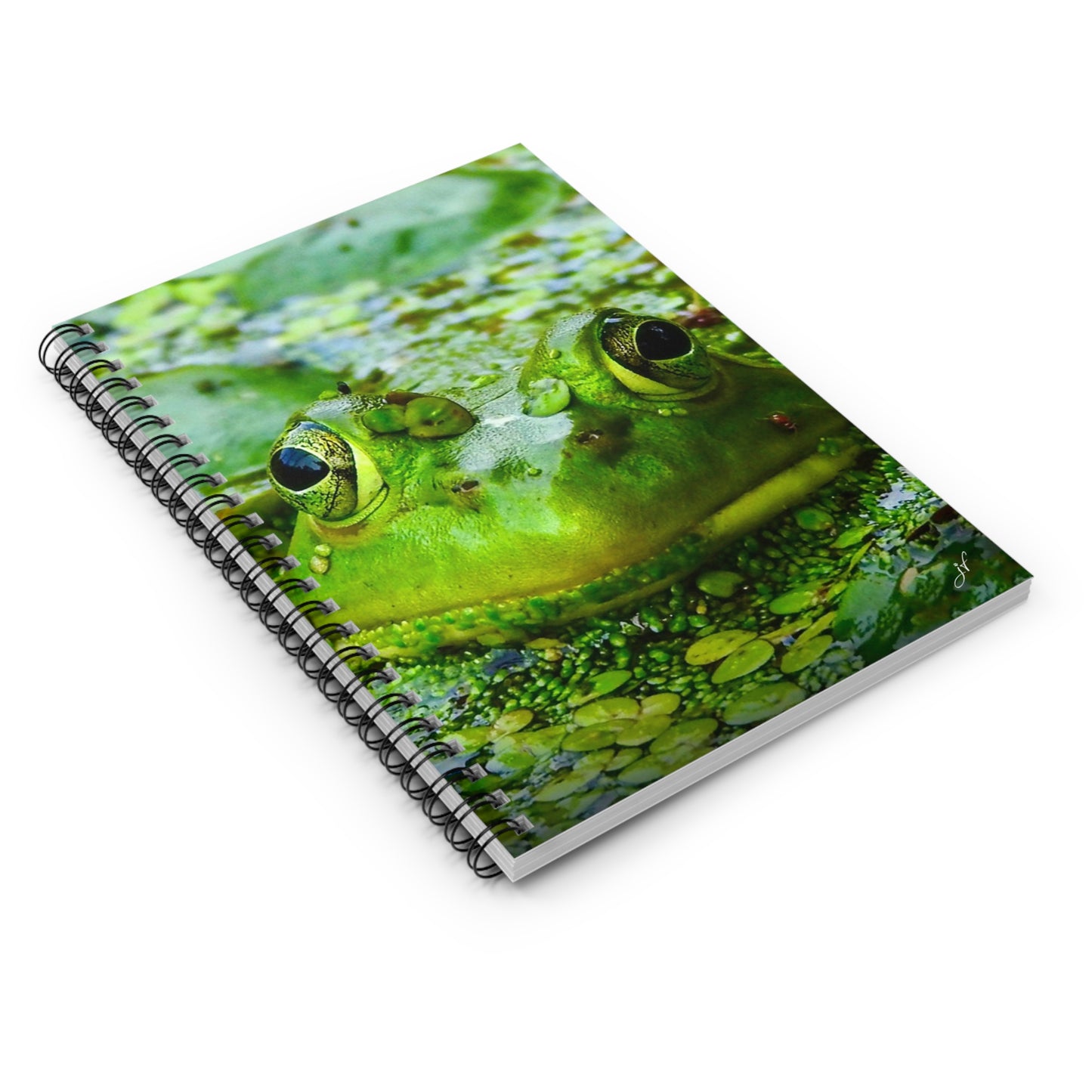 Frog Notebook/Post-It Bundle