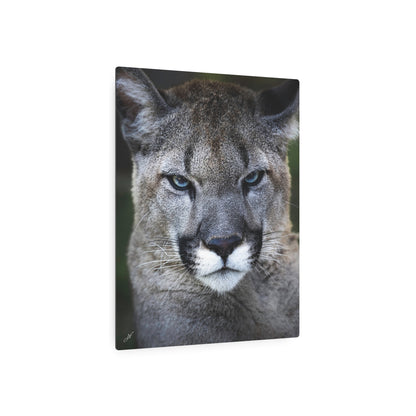 Puma Cat | Metal Art Sign