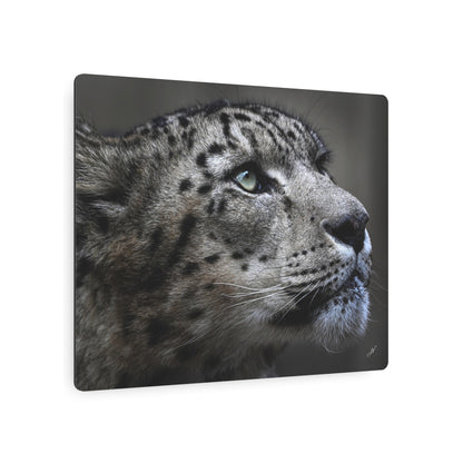 Snow Leopard | Metal Art Sign