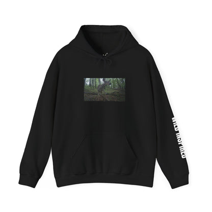 Trail Cam Deer 2 (Color) | Hoodie