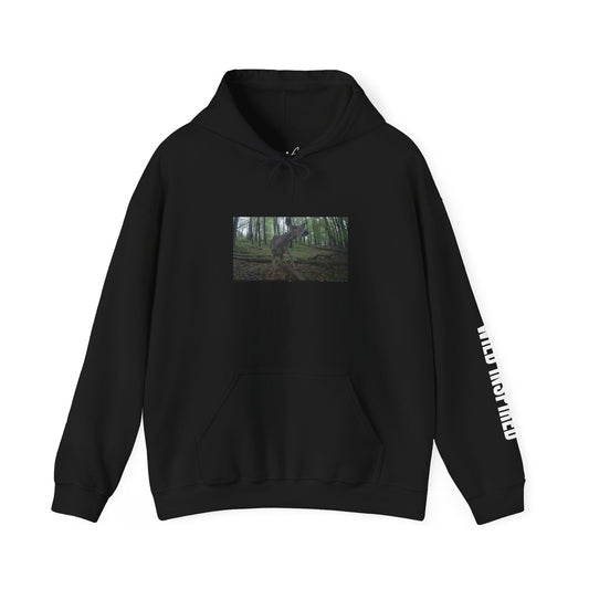 Trail Cam Deer 2 (Color) | Hoodie