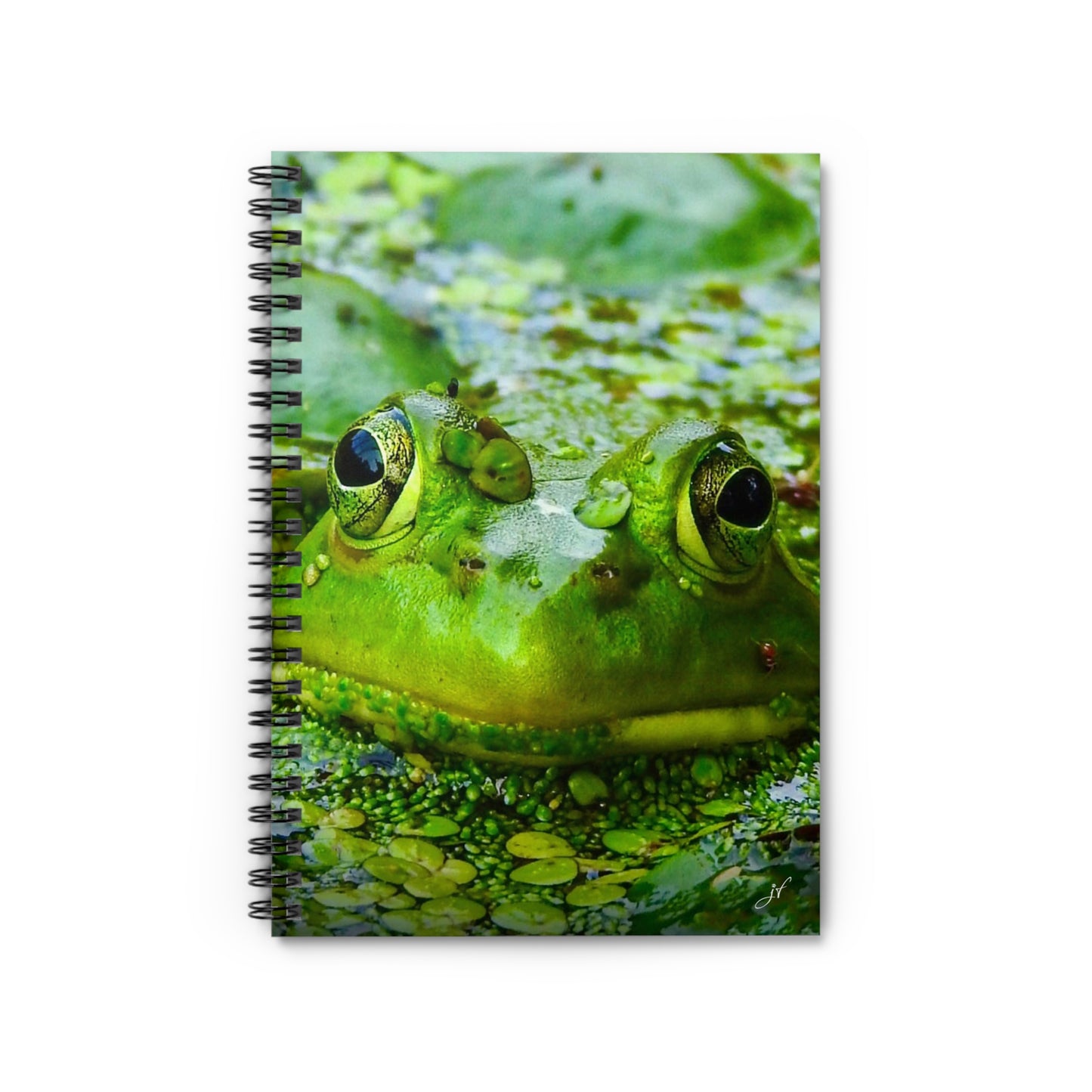 Frog | Spiral Notebook