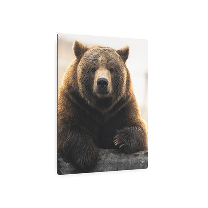 Bear Posing | Metal Art Sign