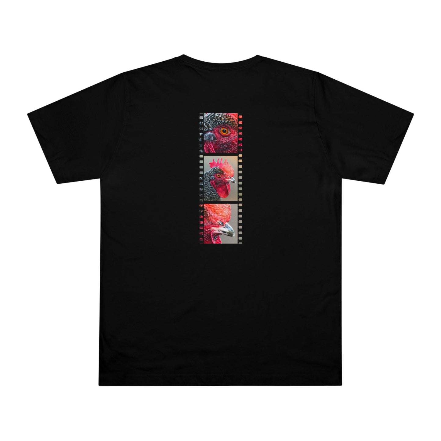 Rooster In Focus | T-Shirt