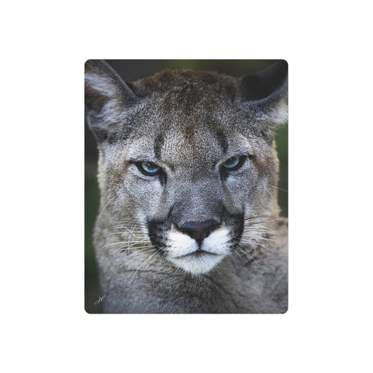 Puma Cat | Metal Art Sign