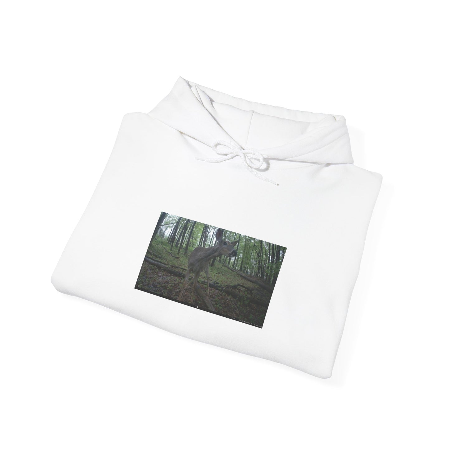 Trail Cam Deer 2 (Color) | Hoodie