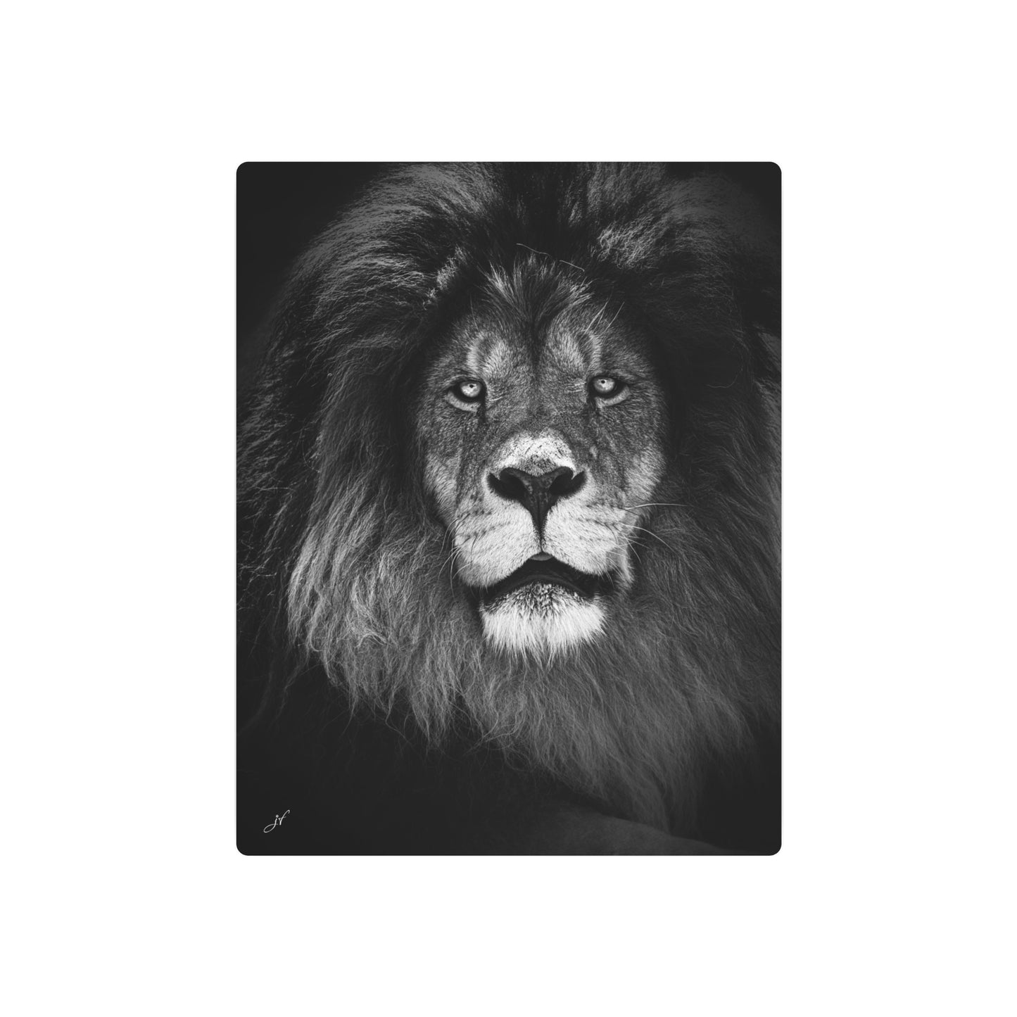 Lion | Metal Art Sign