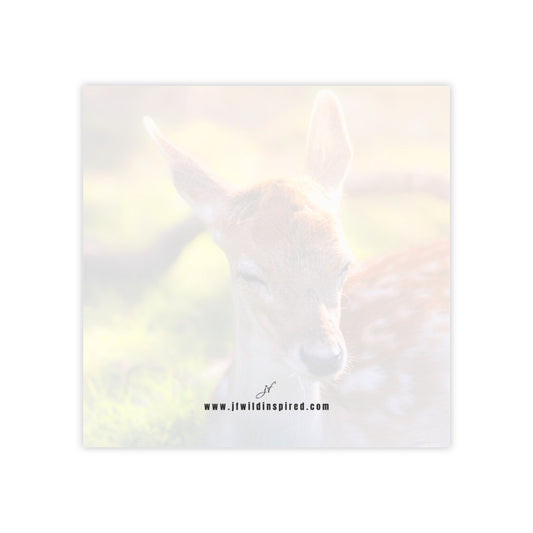 Fawn | Post-It Note Stack