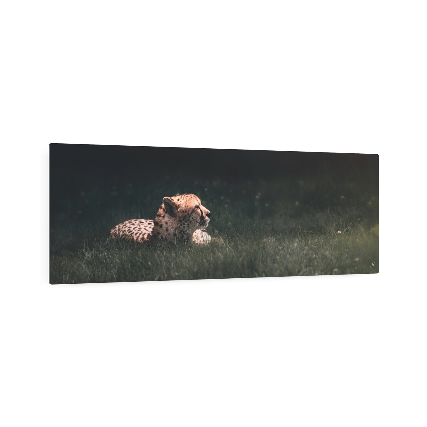 Cheetah | Metal Art Sign