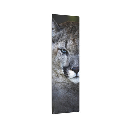 Puma Cat | Metal Art Sign