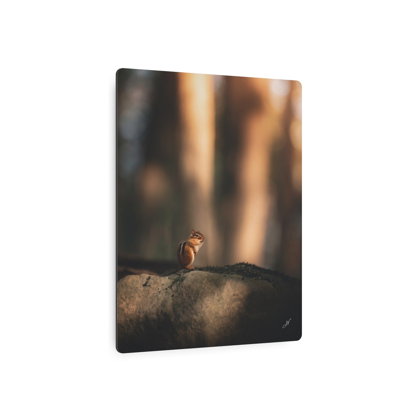 Chipmunk | Metal Art Sign