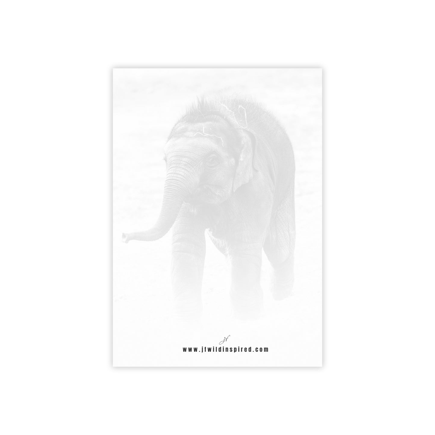 Elephant | Post-It Note Stack