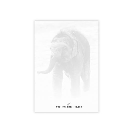 Elephant | Post-It Note Stack