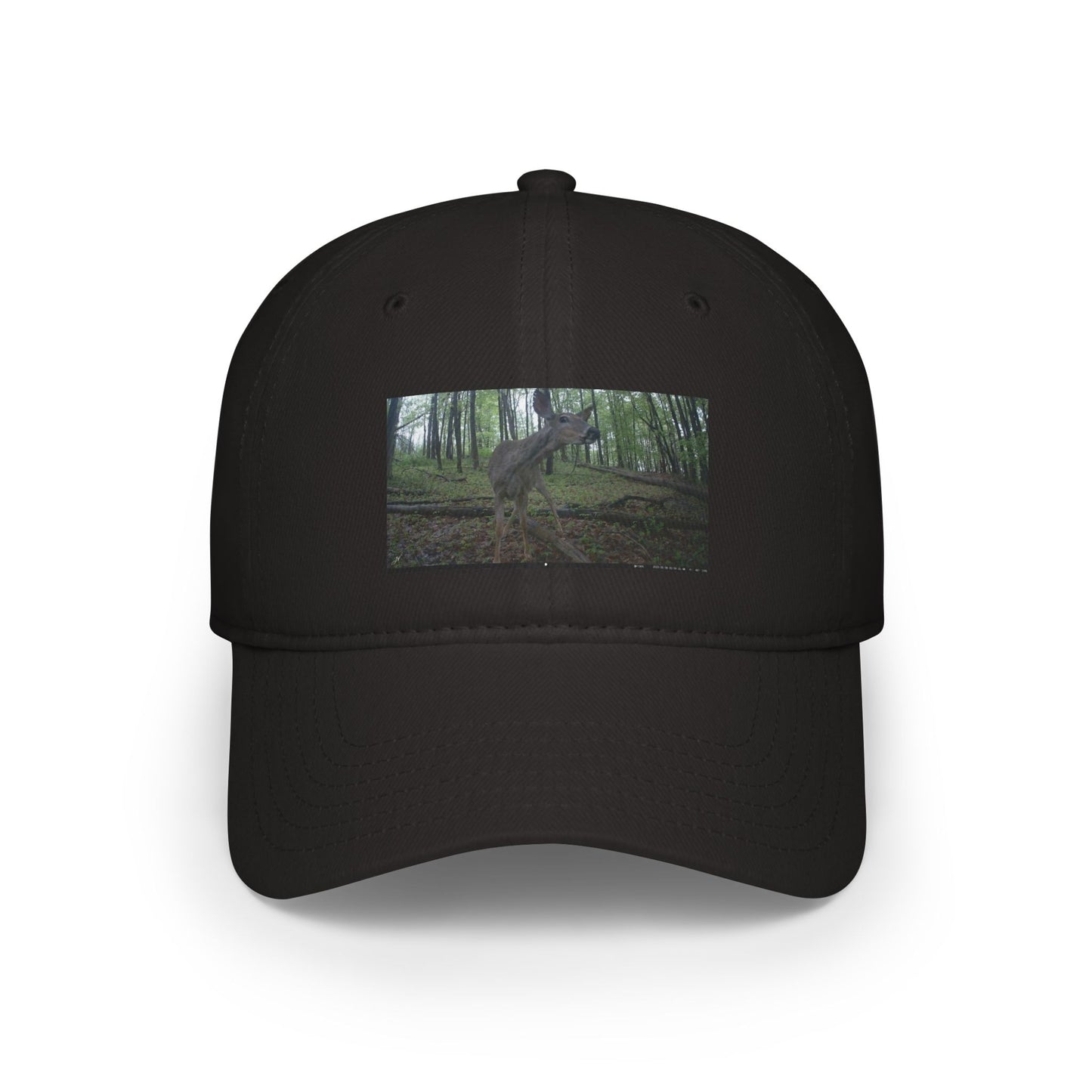Trail Cam Deer 2 (Color) | Hat