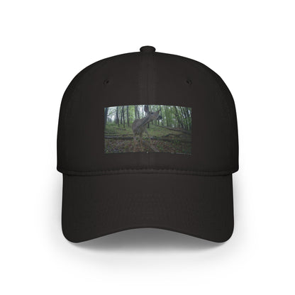 Trail Cam Deer 2 (Color) | Hat