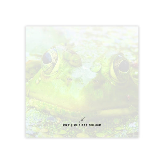 Frog | Post-It Note Stack