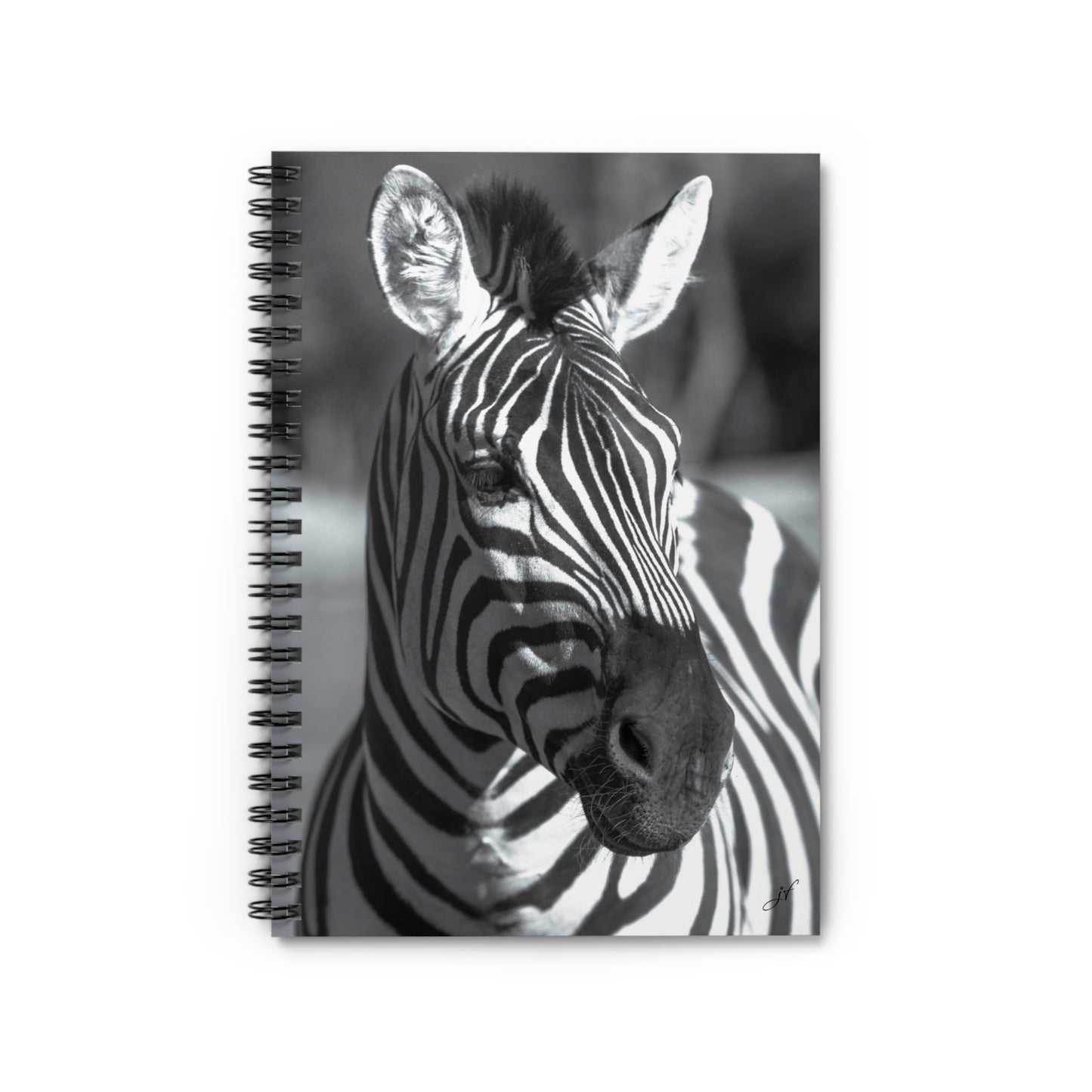 Zebra Notebook/Post-It Bundle