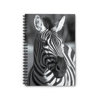 Zebra Notebook/Post-It Bundle