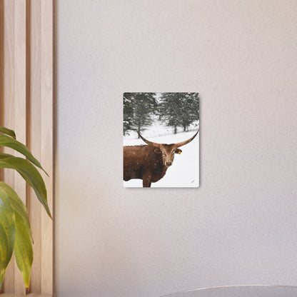 Winter Longhorn Cow | Metal Art Sign