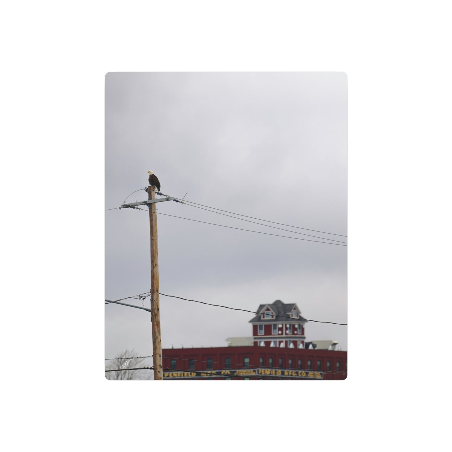 Bald Eagle & Syracuse Factory | Metal Wall Art Sign